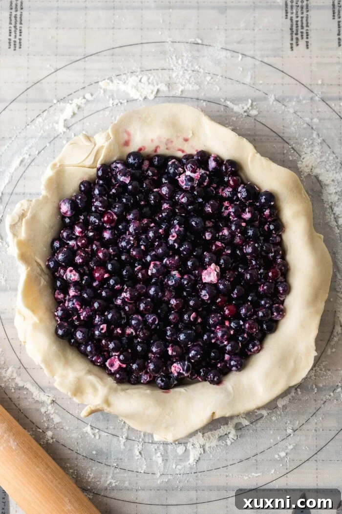 blueberry pie filling in the unbaked pie crust