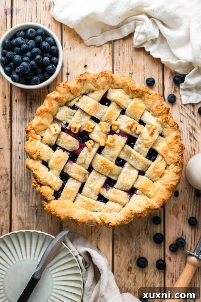 baked vegan blueberry pie