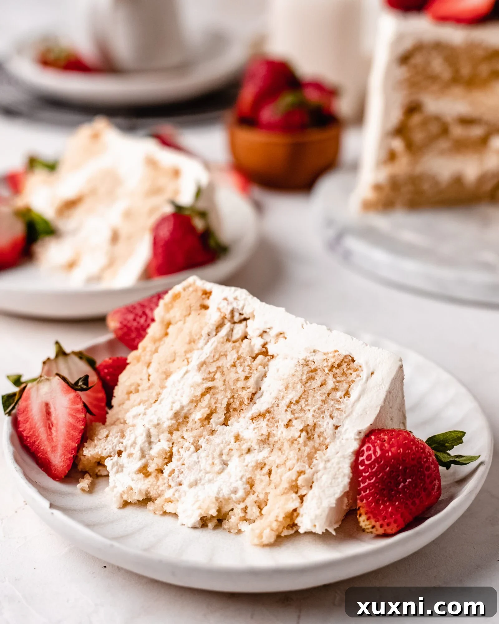 A perfectly sliced portion of vegan chiffon cake, garnished with fresh strawberries, highlighting its light and airy texture.