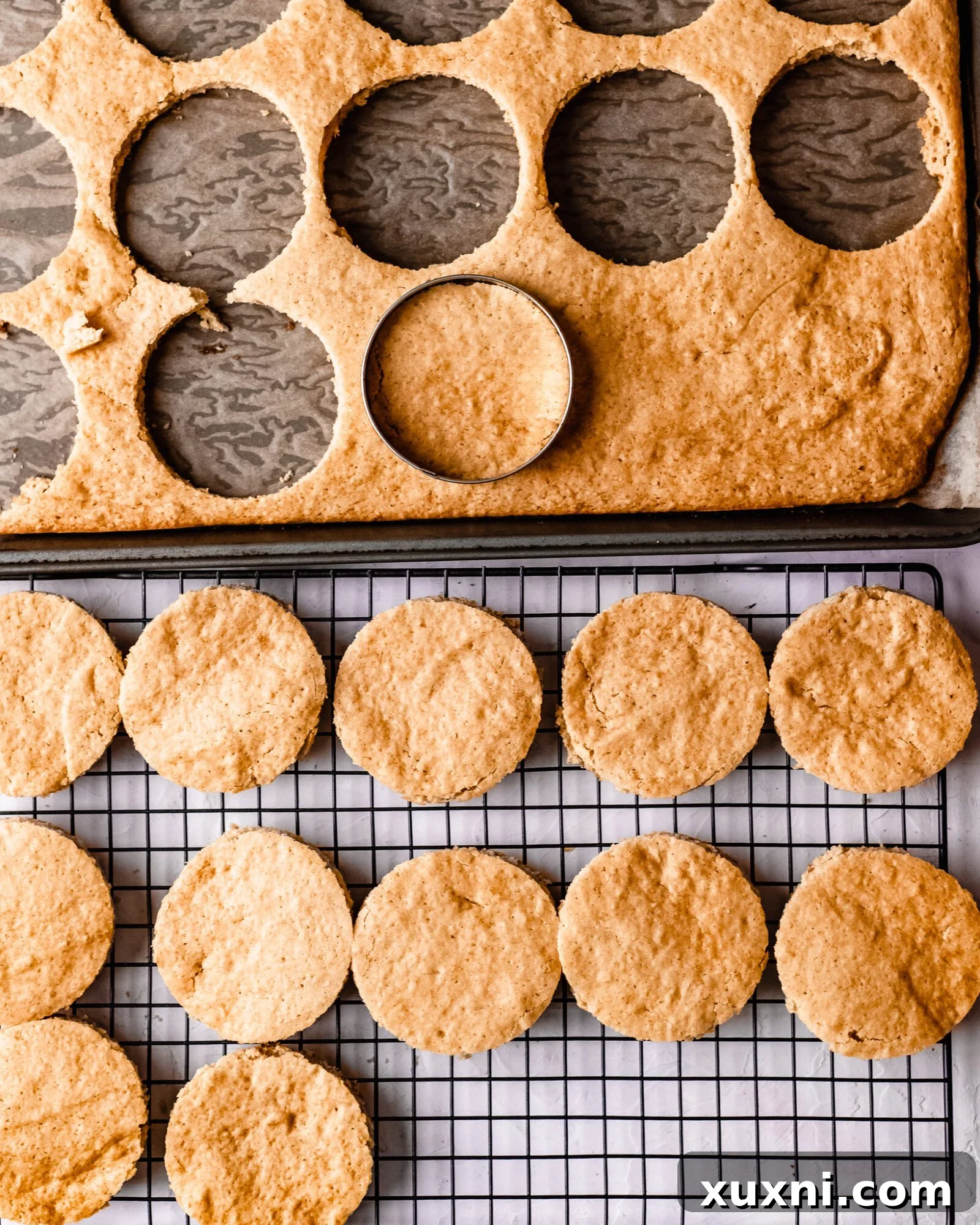 A baked cake in an 8x8 inch sheet pan, golden brown and ready to be cooled.