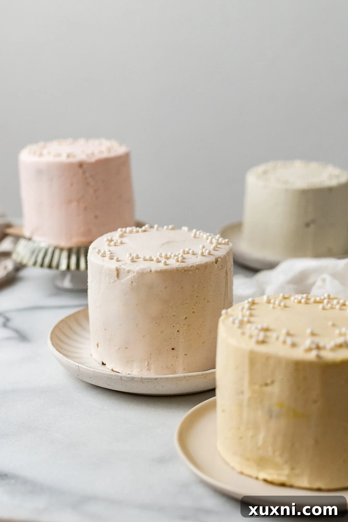 Two perfectly frosted 4-inch mini cakes, one in red velvet and one in vanilla, on a rustic white surface.