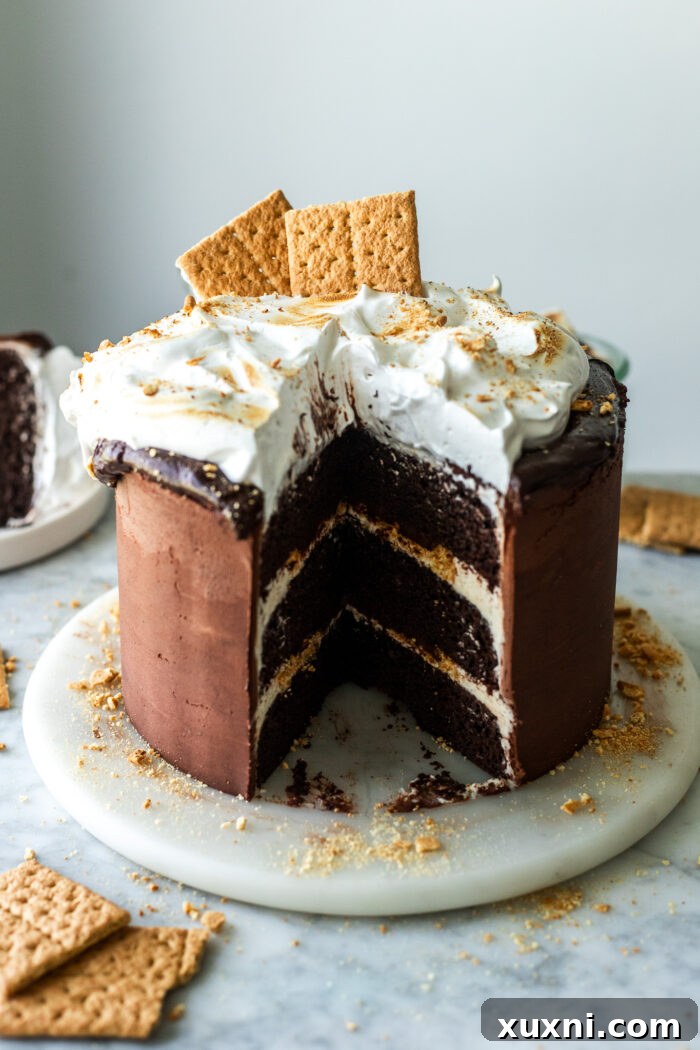 sliced vegan s'mores cake, showcasing rich chocolate layers, graham cracker crumble, and toasted marshmallow fluff