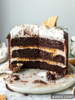 sliced s'mores cake, showcasing its beautiful layers and toasted marshmallow