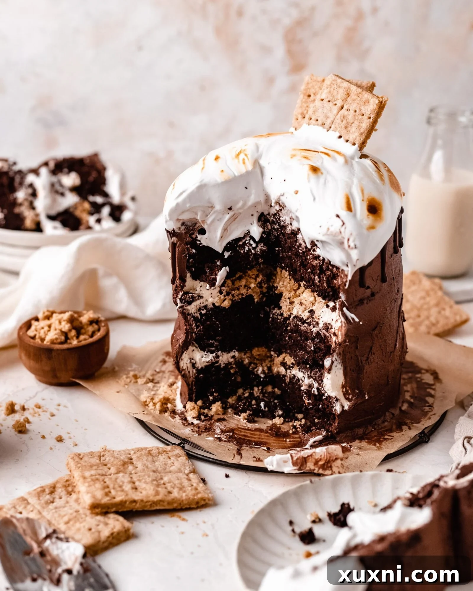 Another enticing shot of a sliced vegan s'mores cake, ready to be enjoyed