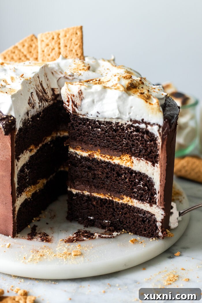 Another beautiful slice of vegan s'mores cake, highlighting the distinct layers