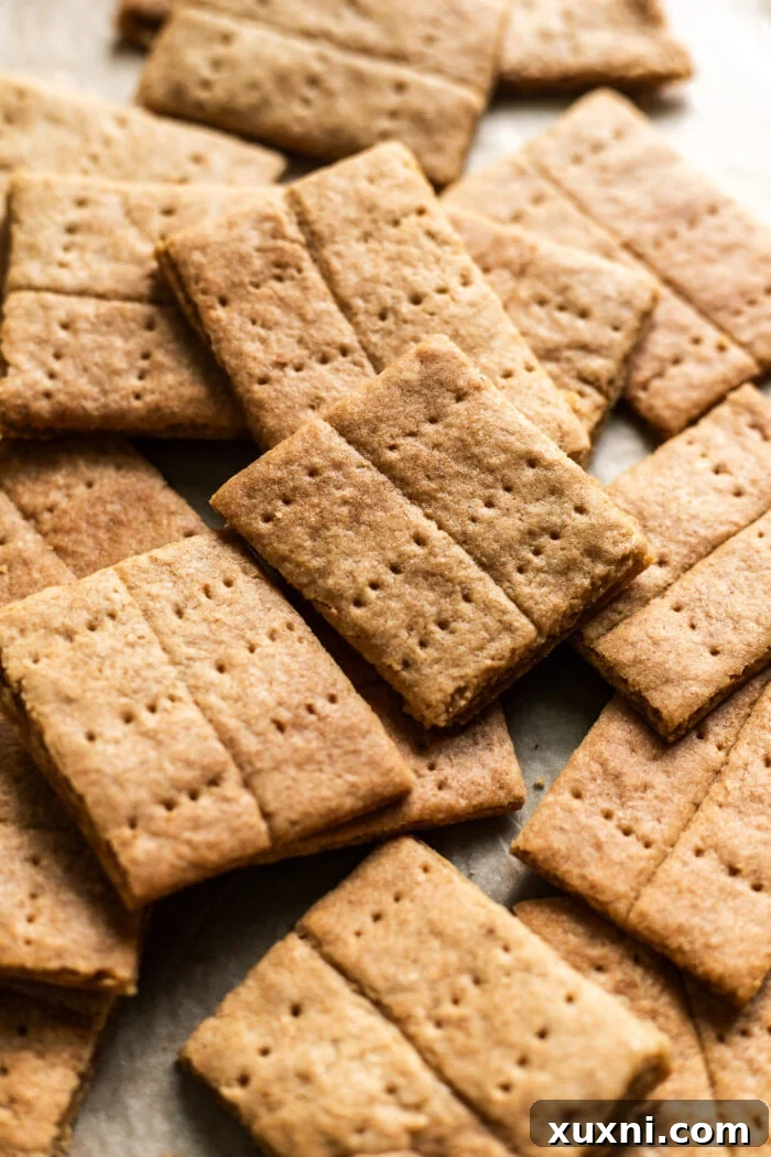 Freshly baked homemade graham crackers, golden and crisp