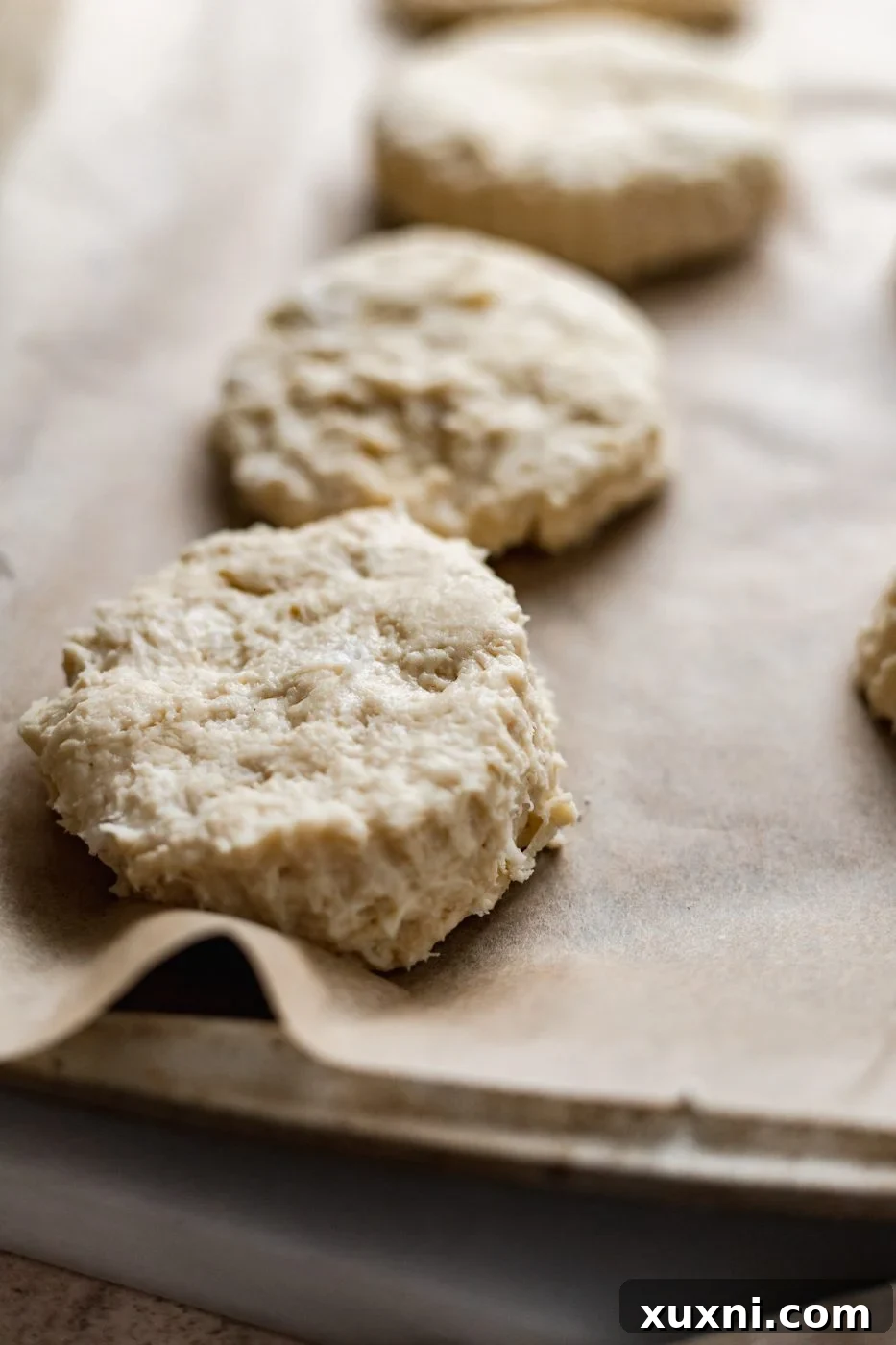 uncut vegan biscuits arranged on a baking sheet
