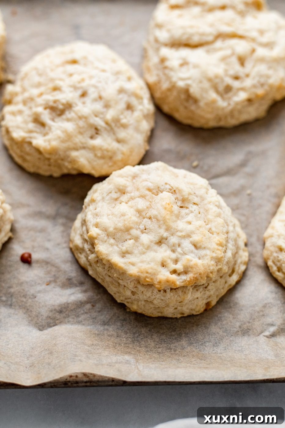 freshly baked vegan biscuits on a baking sheet