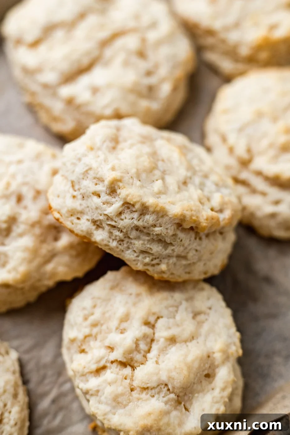 close-up of golden brown baked vegan biscuits