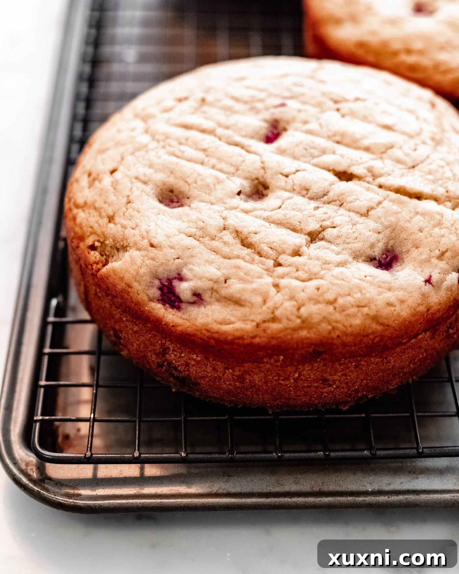 vegan raspberry cake layers