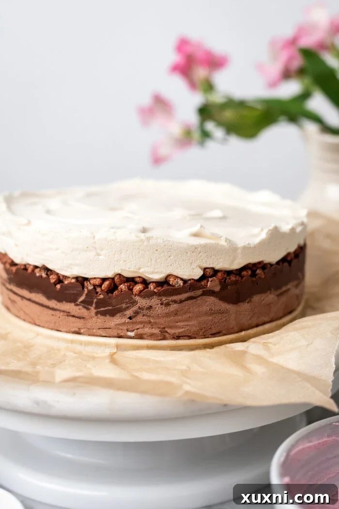 Effortless Plant-Based Gluten-Free Ice Cream Cake 14 The fully assembled and frozen vegan ice cream cake in its springform pan, showing the distinct layers before frosting and final decoration.
