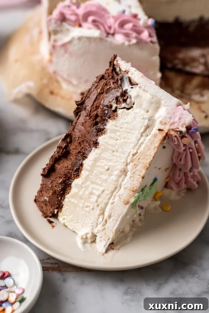 Effortless Plant-Based Gluten-Free Ice Cream Cake 16 A pristine slice of vegan ice cream cake, showcasing the layers and ready to be served, emphasizing its perfect texture after proper storage.
