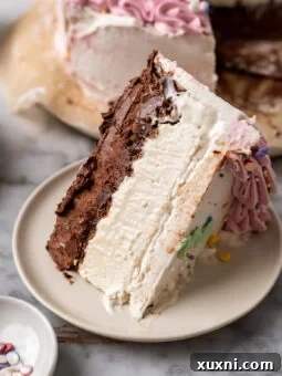 A delectable slice of homemade vegan ice cream cake, showcasing its layers of chocolate, crunchy crisps, and vanilla, ideal for a plant-based dessert.