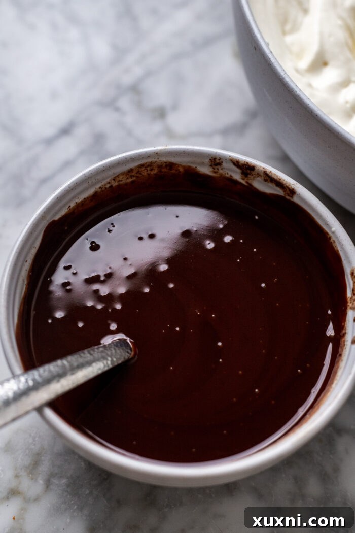 Effortless Plant-Based Gluten-Free Ice Cream Cake 6 A bowl of rich, glossy homemade vegan hot fudge sauce, perfectly cooled and ready for layering in the ice cream cake.