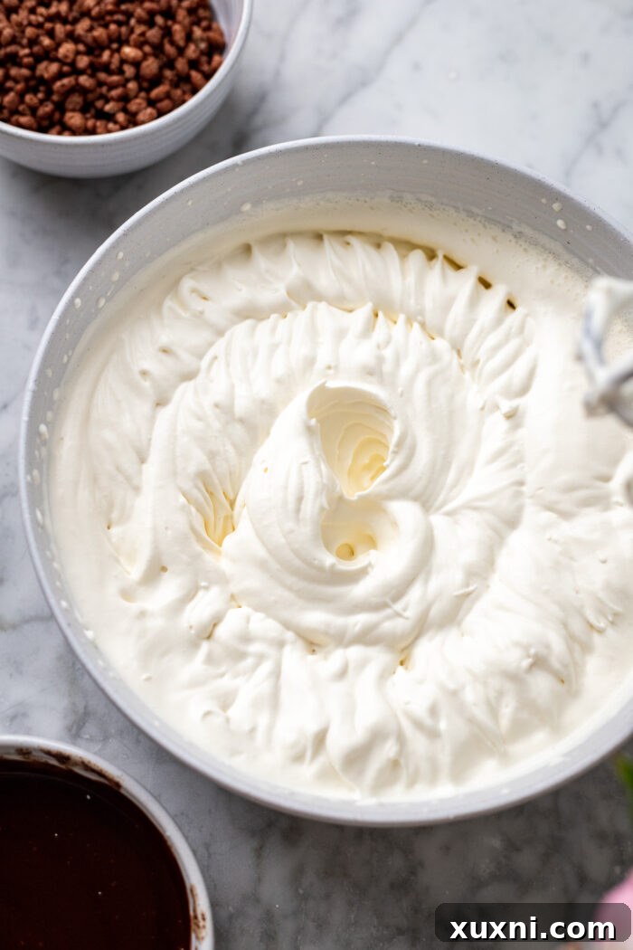 Effortless Plant-Based Gluten-Free Ice Cream Cake 7 Visually demonstrating the first step: perfectly creamed vegan heavy cream, resembling soft peaks of whipped cream, in a large mixing bowl.