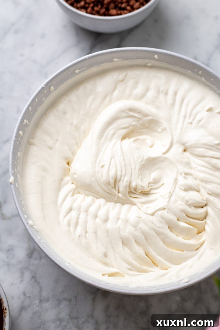 Effortless Plant-Based Gluten-Free Ice Cream Cake 8 The second step in creating the vegan ice cream base: vegan sweetened condensed milk being gently folded into the whipped heavy cream, creating a smooth, rich mixture.