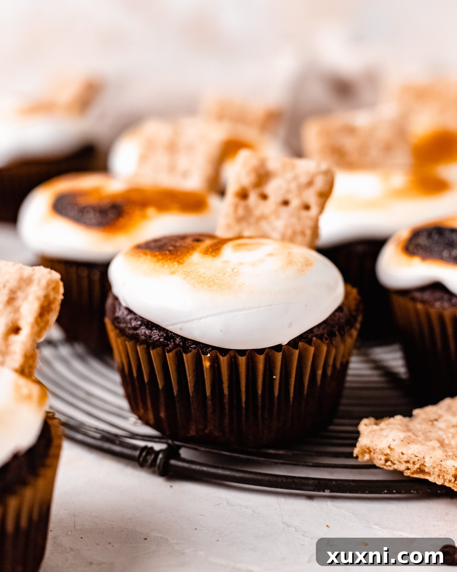 vegan smores cupcakes