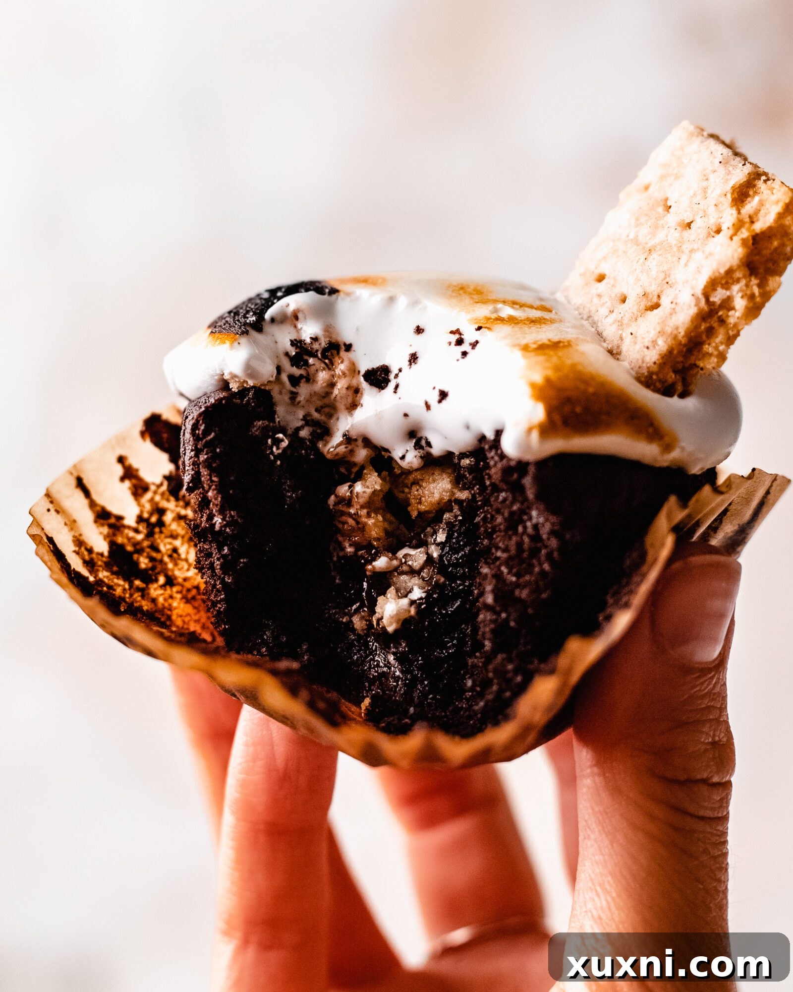 hand holding smore cupcake