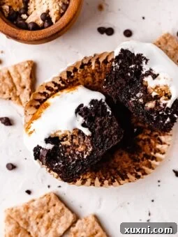Best Ever S'mores Cupcakes (Eggless + Gluten Free!)