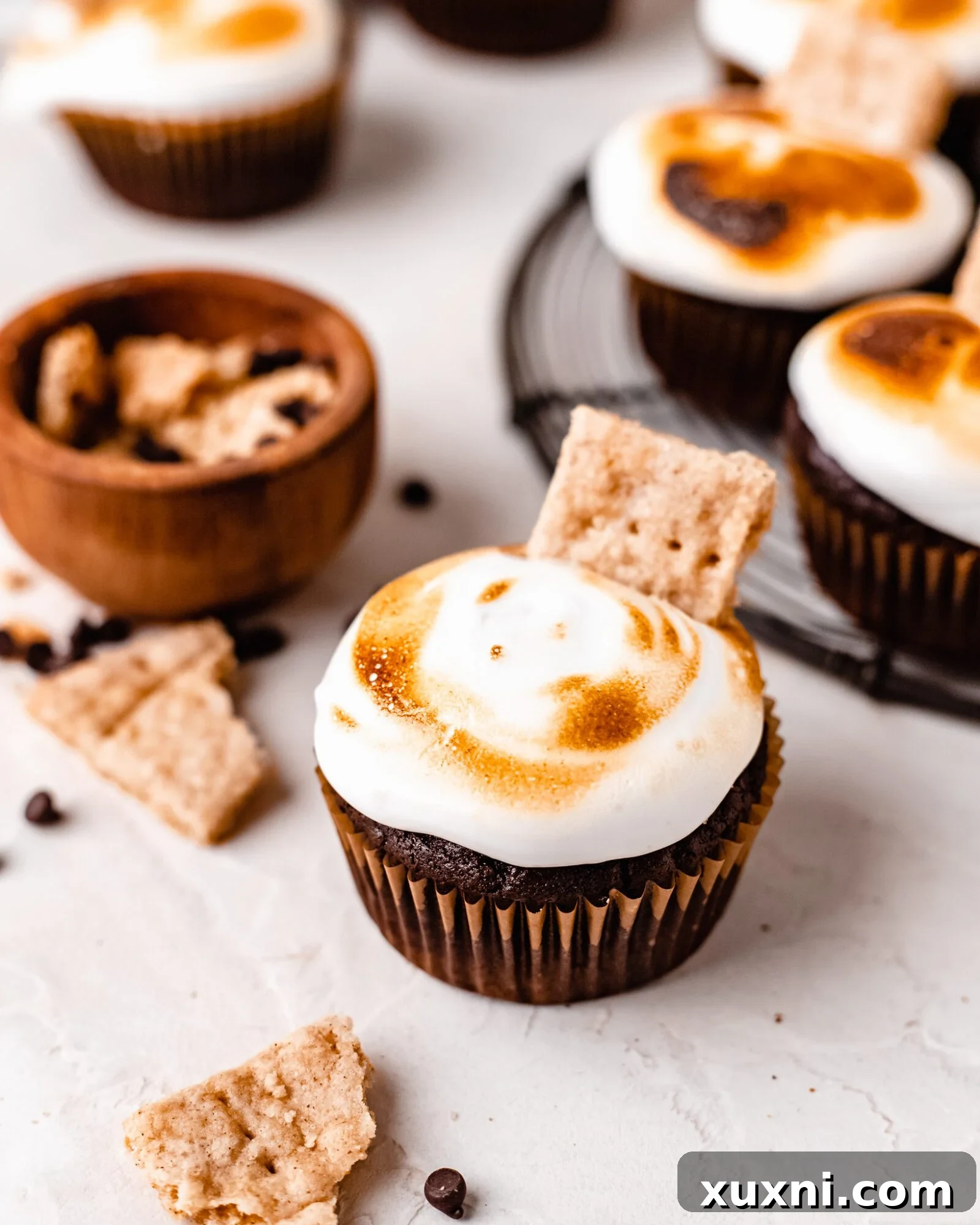 vegan smores cupcakes