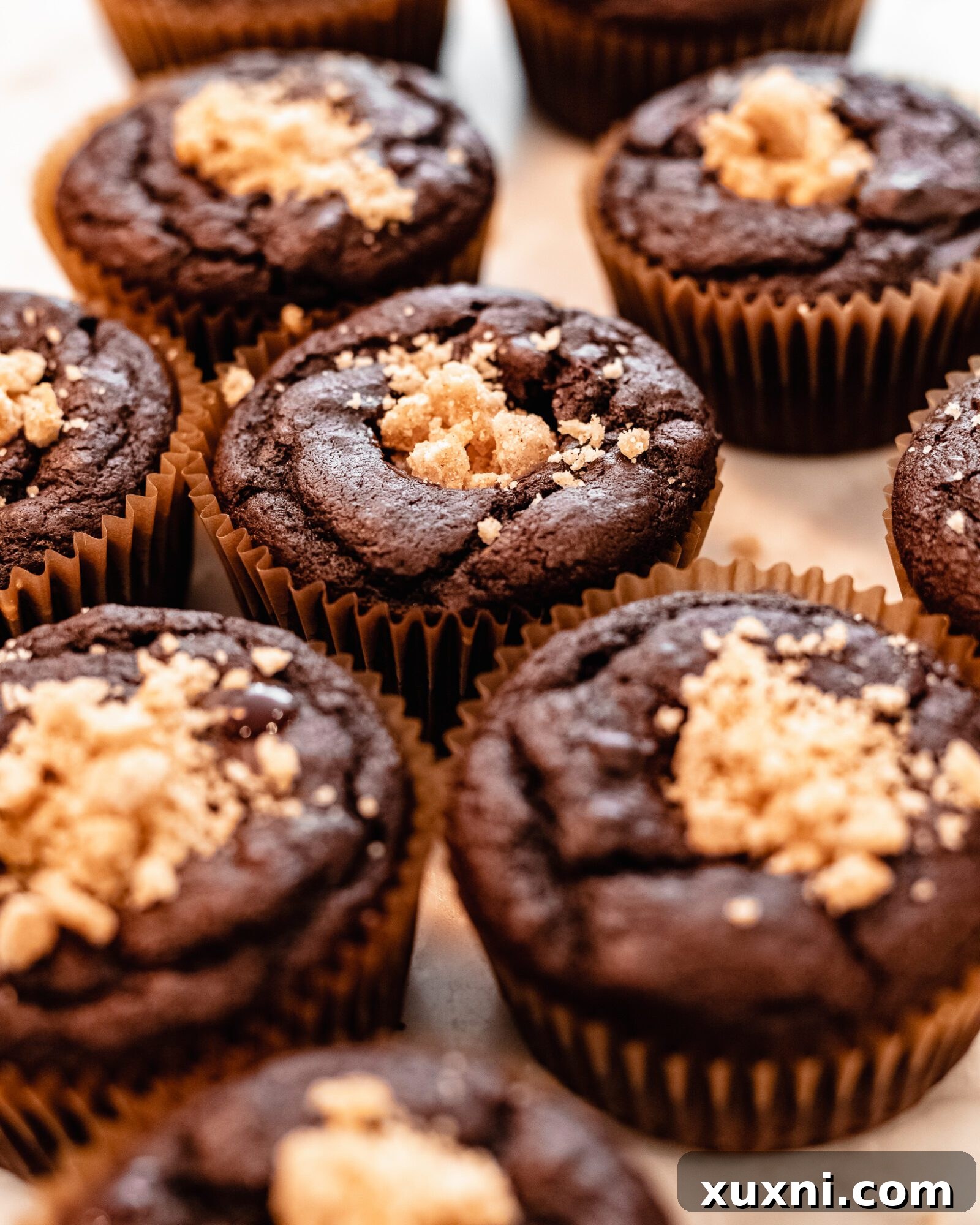 filled smore cupcakes
