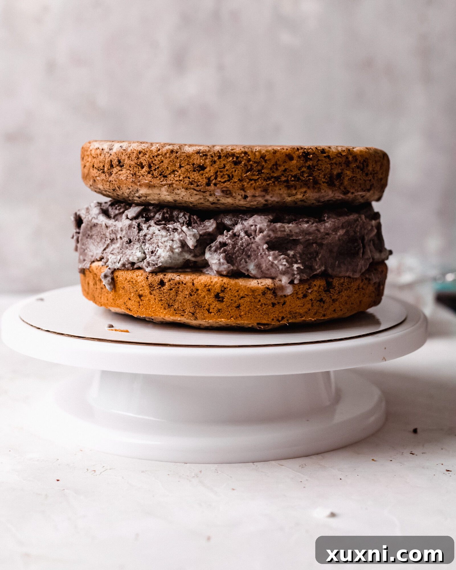 Ice cream cake assembly step 1