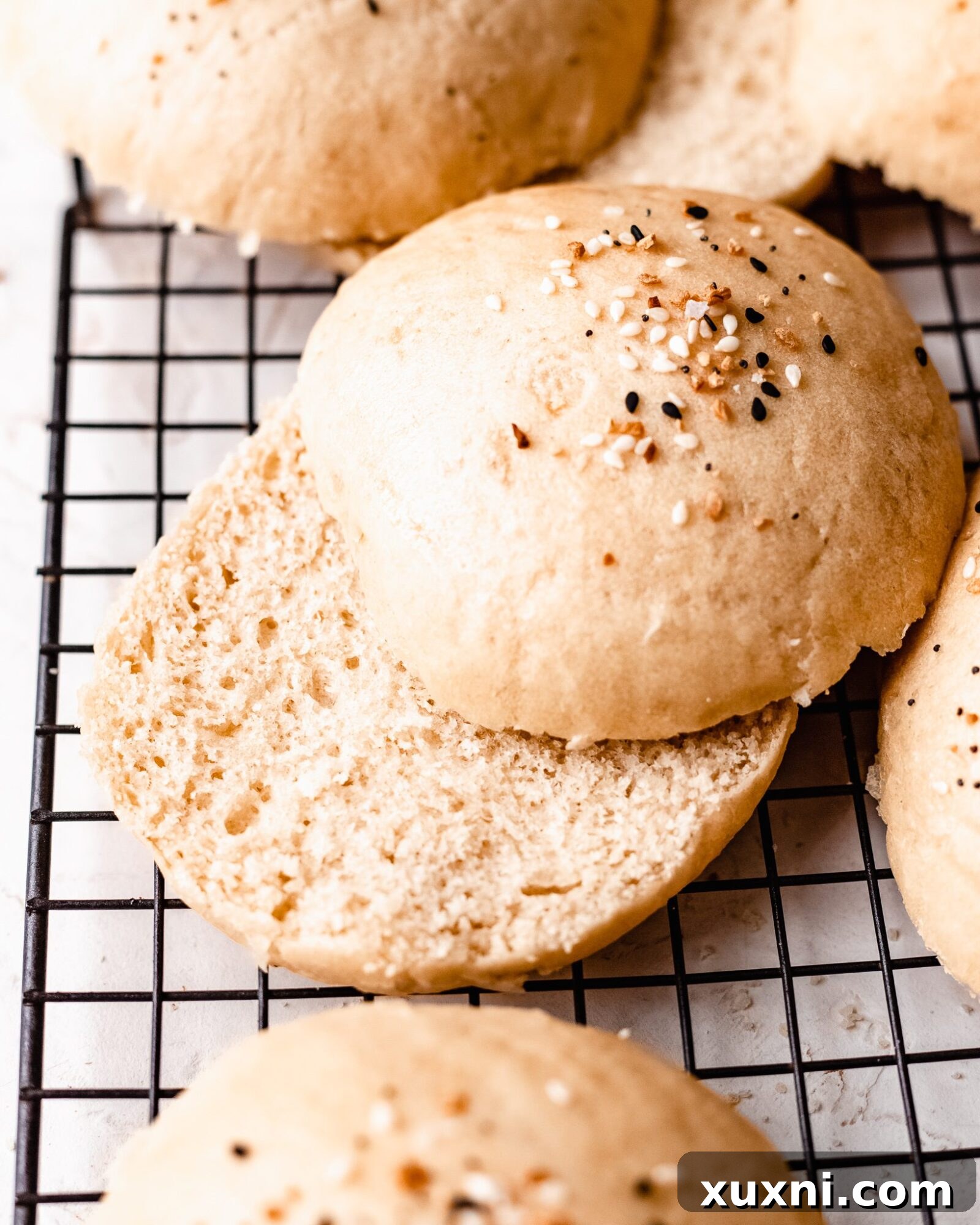 Fluffy Vegan Brioche Buns Gluten Free Friendly 14 sliced burger buns