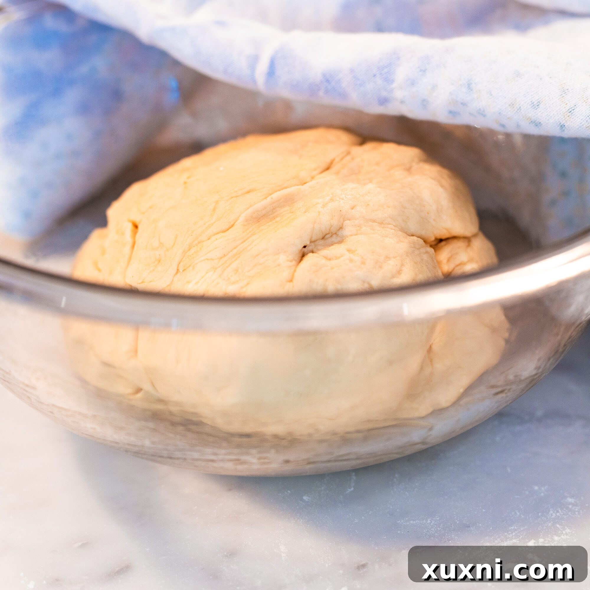 Fluffy Vegan Brioche Buns Gluten Free Friendly 5 risen vegan dough