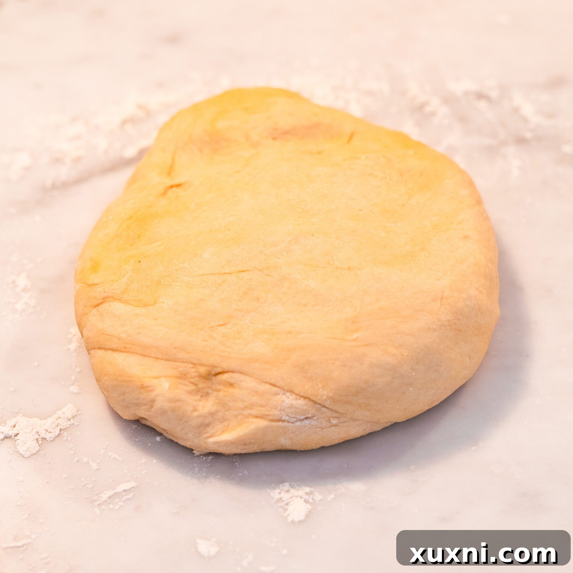 Fluffy Vegan Brioche Buns Gluten Free Friendly 6 shaping the dough