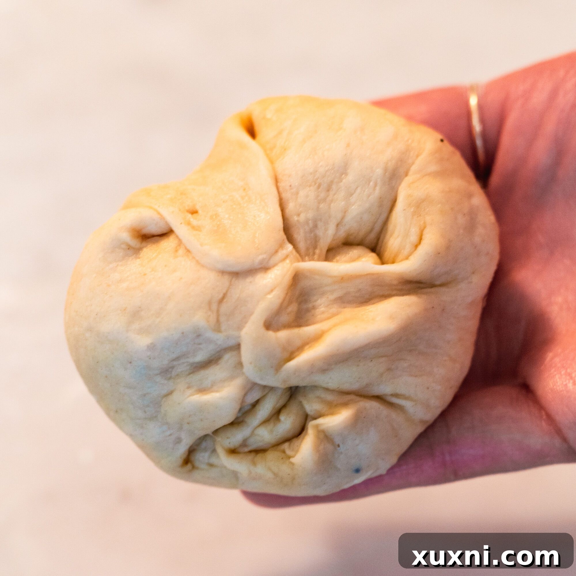 Fluffy Vegan Brioche Buns Gluten Free Friendly 8 vegan brioche bun