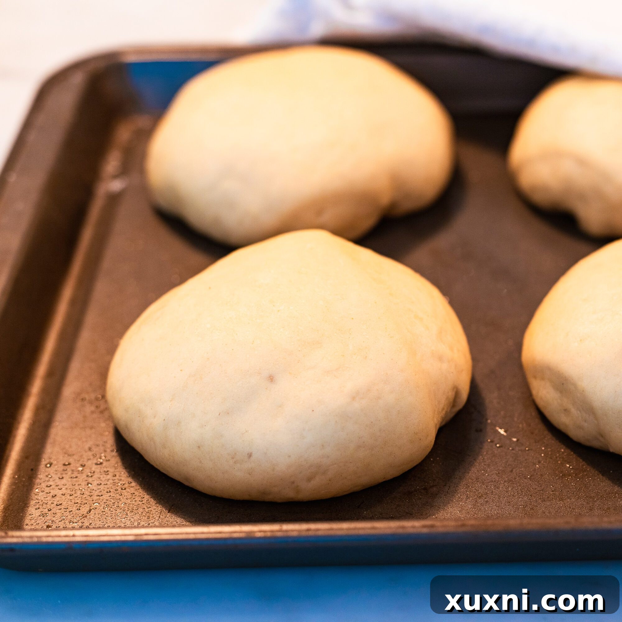 Fluffy Vegan Brioche Buns Gluten Free Friendly 10 burger buns