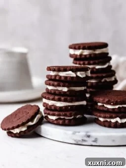 Best Easy Homemade Oreos (Vegan + Gluten Free!)
