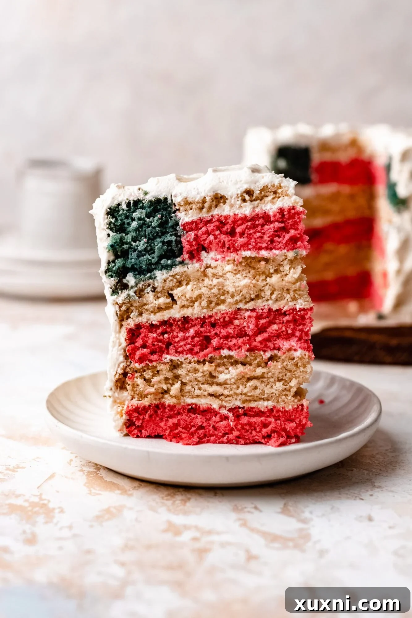 Bake a Vegan American Flag Cake 2 How to make an American Flag Cake (Vegan!)