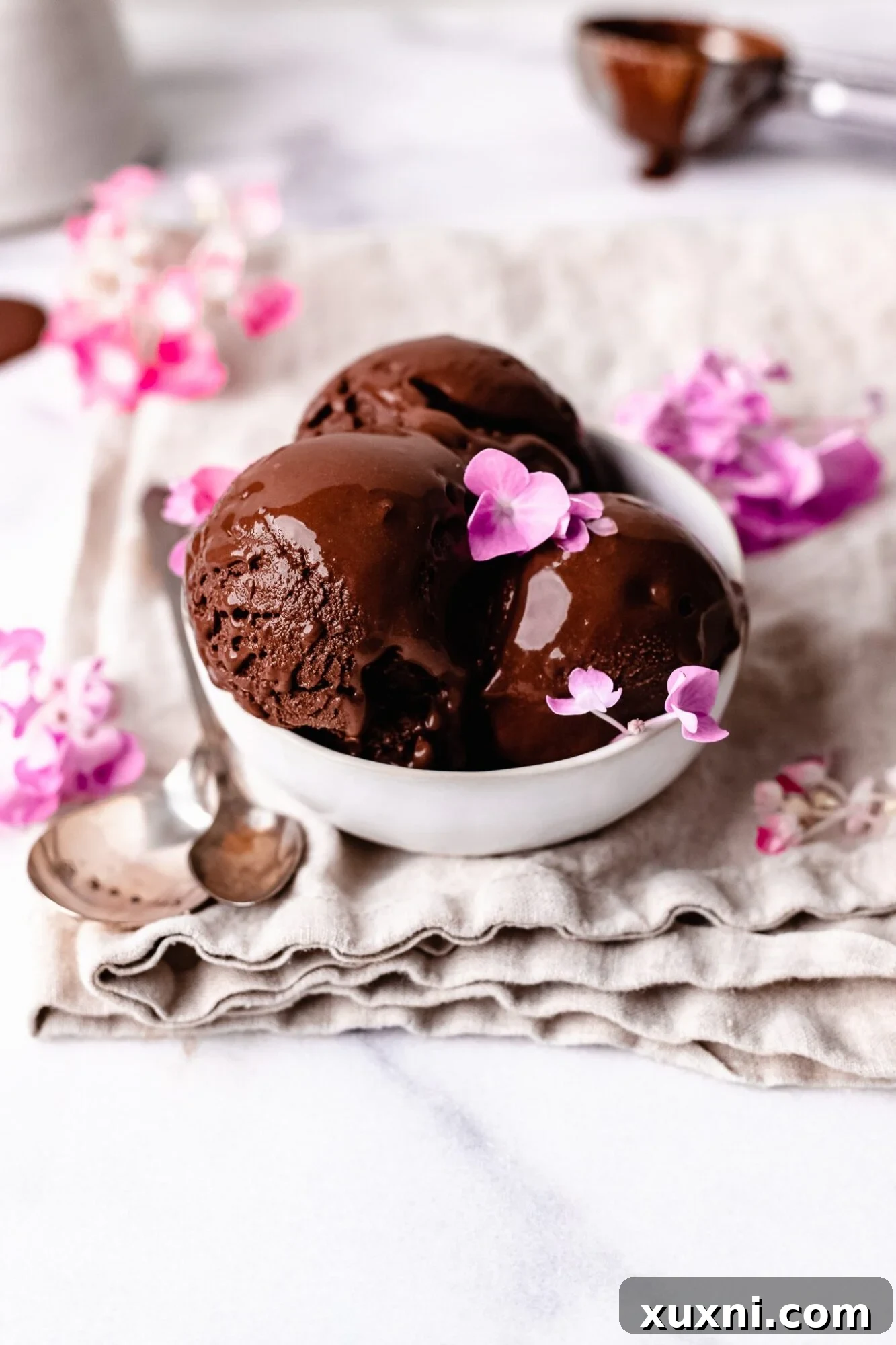 The Best Homemade Vegan Chocolate Ice Cream Recipe, made with oat milk, coconut-free, and soy-free.
