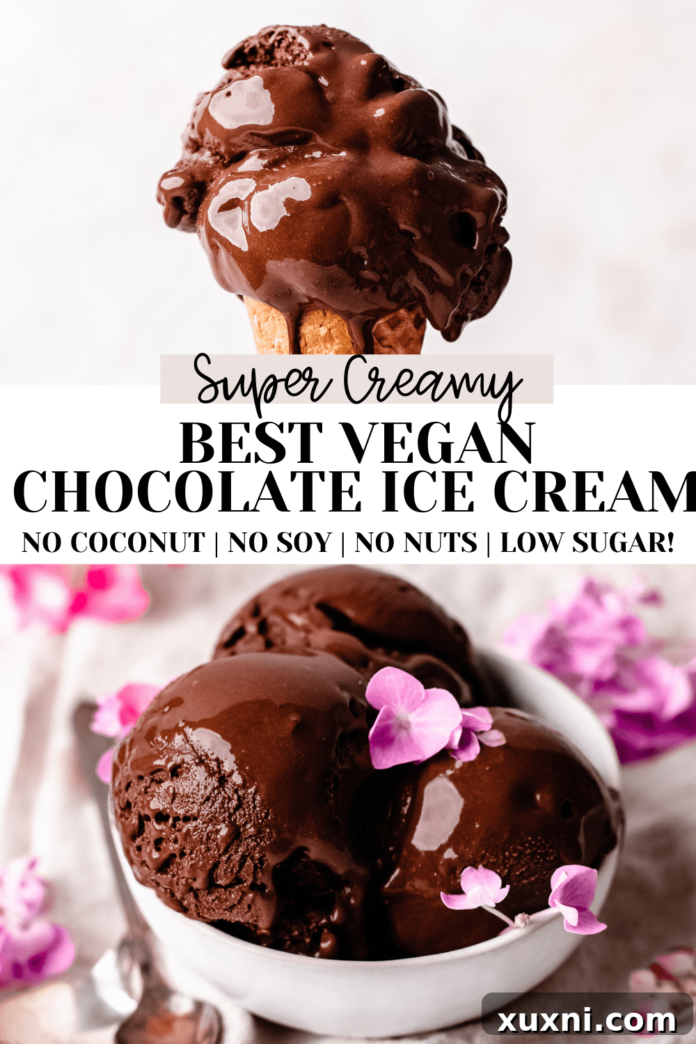 BEST Simple Vegan Chocolate Ice Cream: A visually appealing image for Pinterest, showcasing the creamy texture.