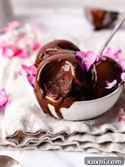 A scoop of rich vegan chocolate ice cream in a bowl.