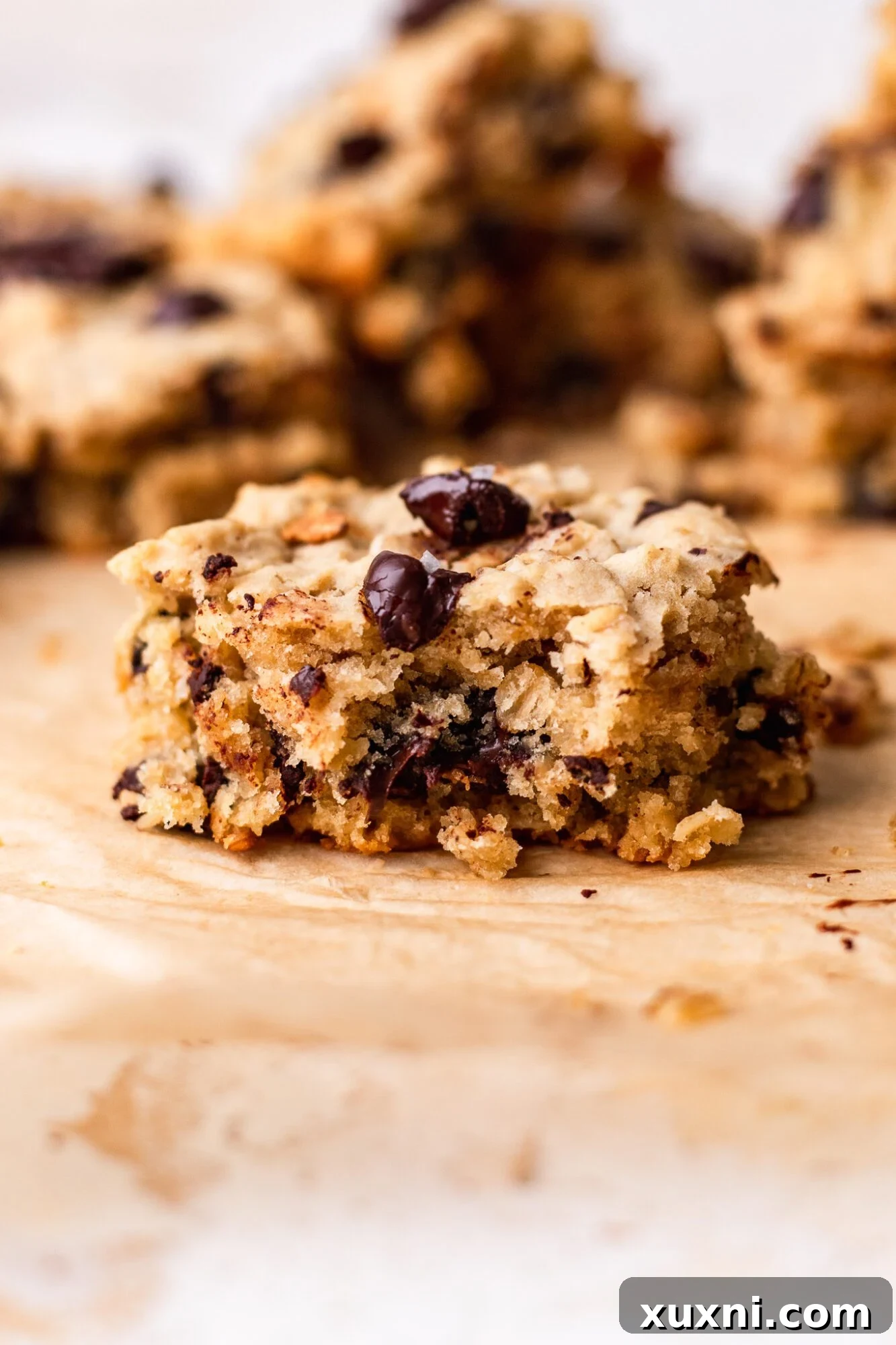 vegan oatmeal chocolate chip cookie bars