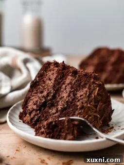 BEST Vegan Gluten Free Chocolate Cake Recipe