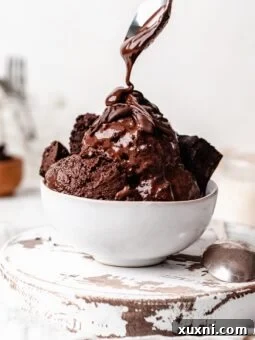 Easy Homemade Chocolate Brownie Ice Cream (vegan!)