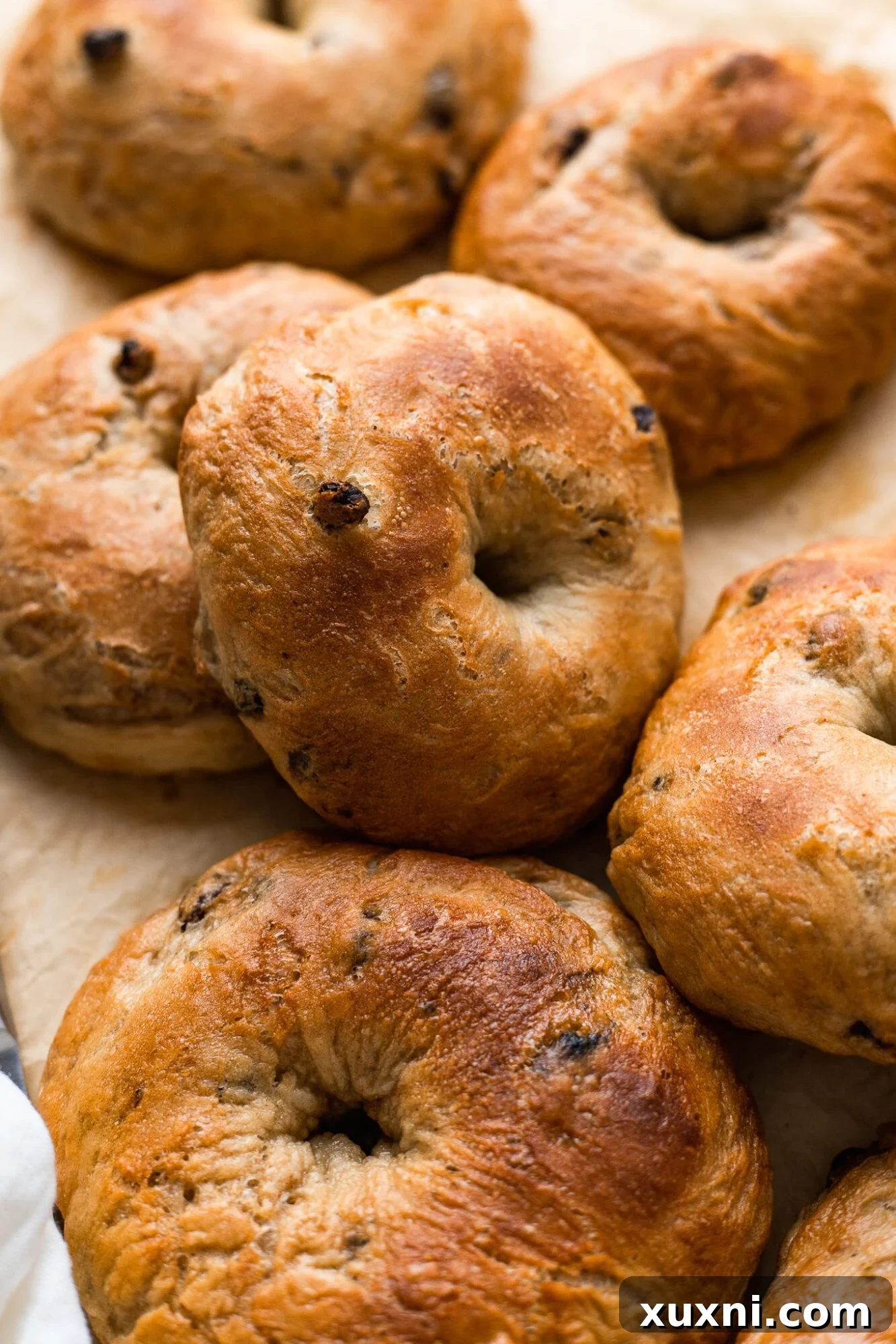 Effortless Homemade Vegan Cinnamon Raisin Bagels 3 vegan cinnamon raisin bagel