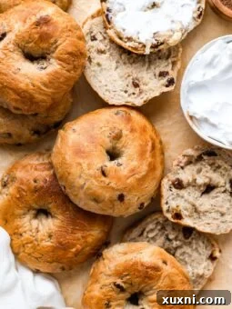 homemade cinnamon raisin bagels