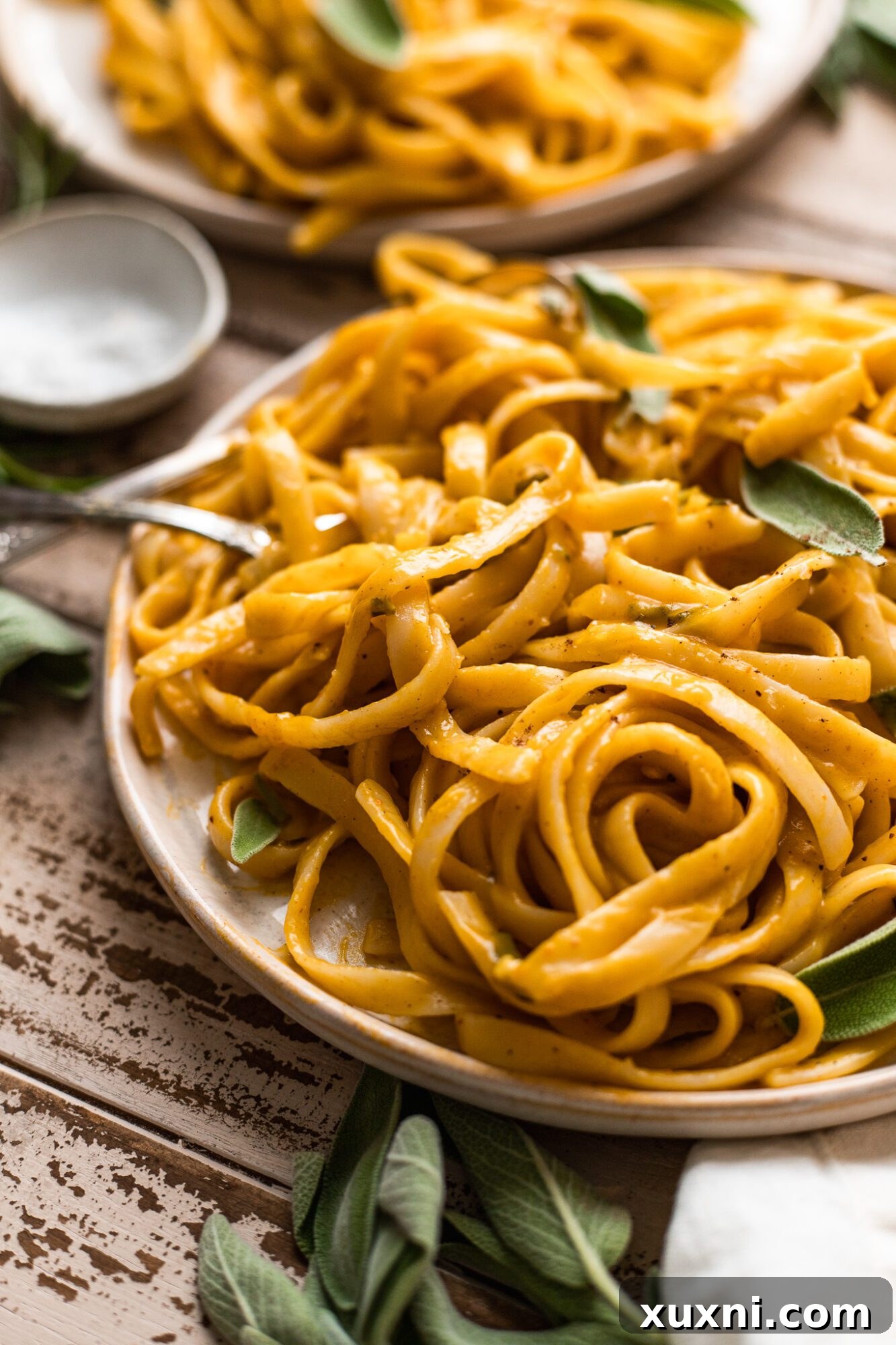 close up shot of creamy vegan pumpkin pasta with garnishes