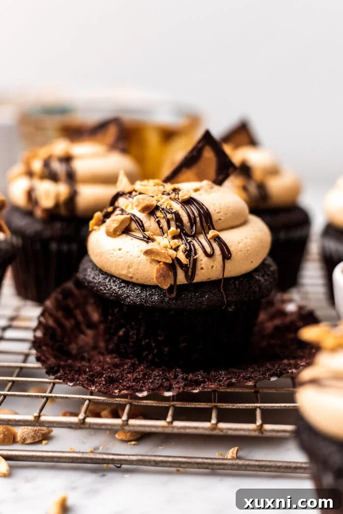 frosted vegan peanut butter cupcake with chocolate drizzle and peanuts