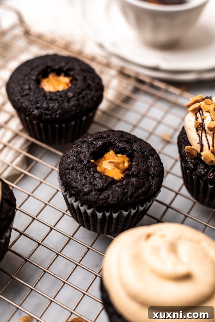 cupcakes with their centers cored out and ready for filling