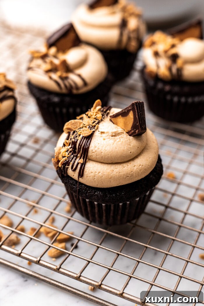 frosted chocolate peanut butter cupcakes cooling on a wire rack