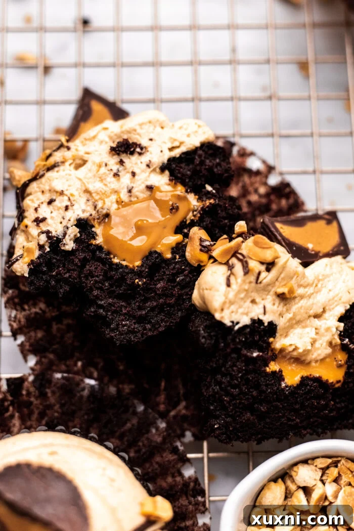 sliced open chocolate peanut butter cupcake with filling and frosting