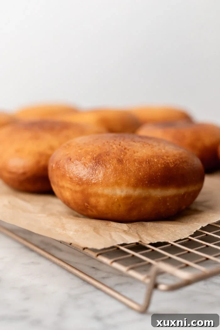 Decadent and Easy Vegan Boston Cream Doughnuts 14 doughnut before filling