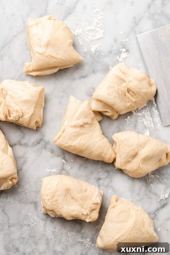 Decadent and Easy Vegan Boston Cream Doughnuts 7 divided dough