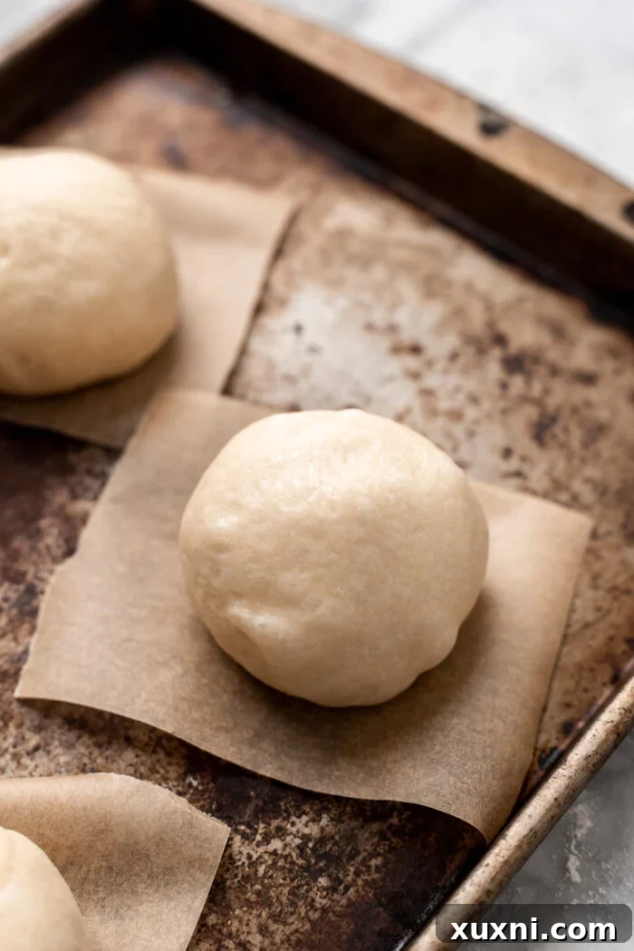 Decadent and Easy Vegan Boston Cream Doughnuts 10 doughnut before proofing