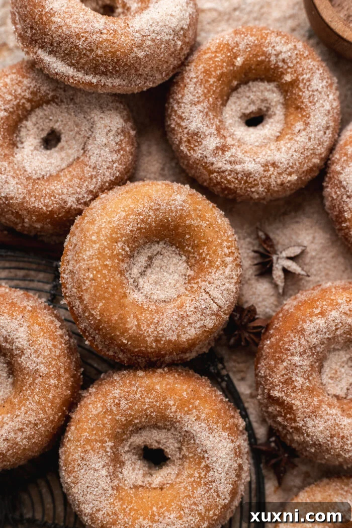 finished vegan apple cider donuts on parchment paper, ready to be served